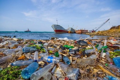 Rác thải nhựa làm ô nhiễm những tầng sâu nhất của đại dương.